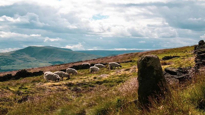 Peak District