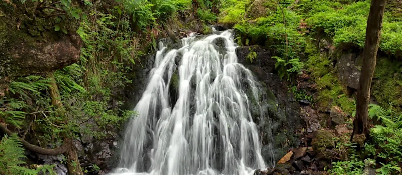 Tom Gill Waterfall