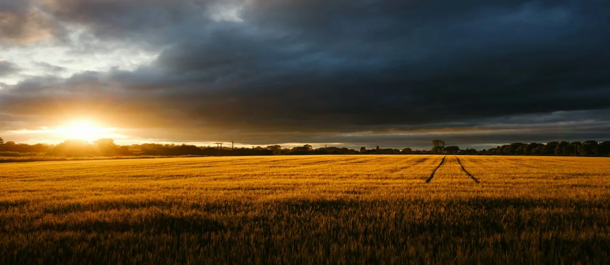 Sunset over a field in Thirsk, Yorkshire, England