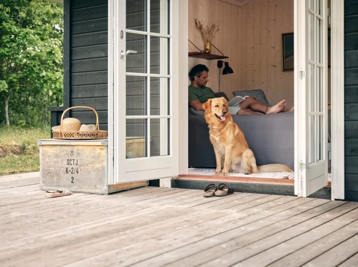 Sommerhus med hund