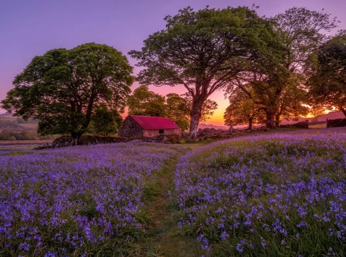 South Brent countryside