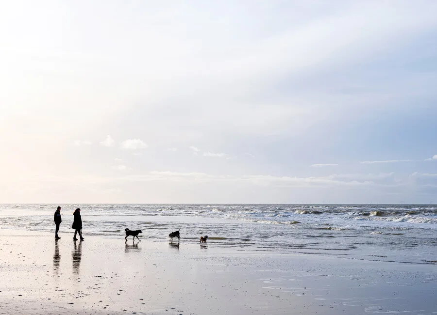 Ferienhaus holländische Nordsee mit Hund