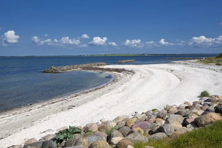 Strand vid Limfjorden i Danmark