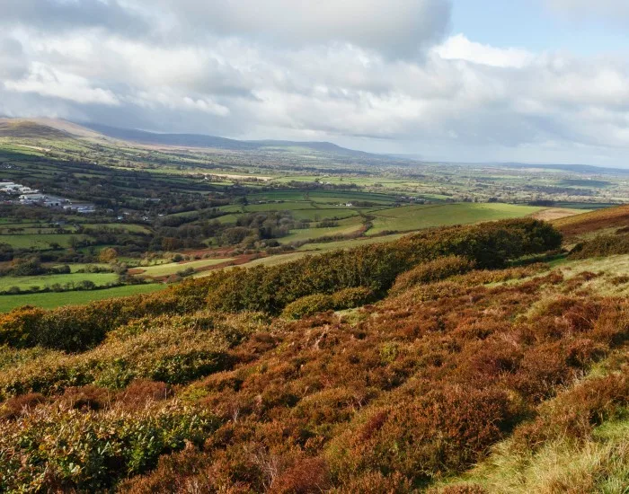 Pembrokeshire countryside near Narberth in Wales