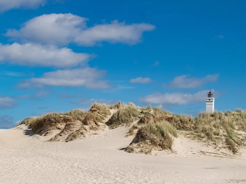 Last Minute Ferienhäuser an der deutschen Nordsee