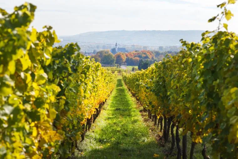 Ferie i Rheinland-Pfalz