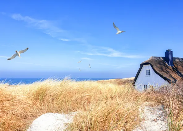 Ferienhäuser an der Ostsee in Deutschland