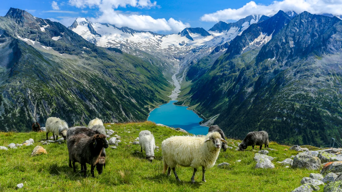 Winterurlaub in Tirol