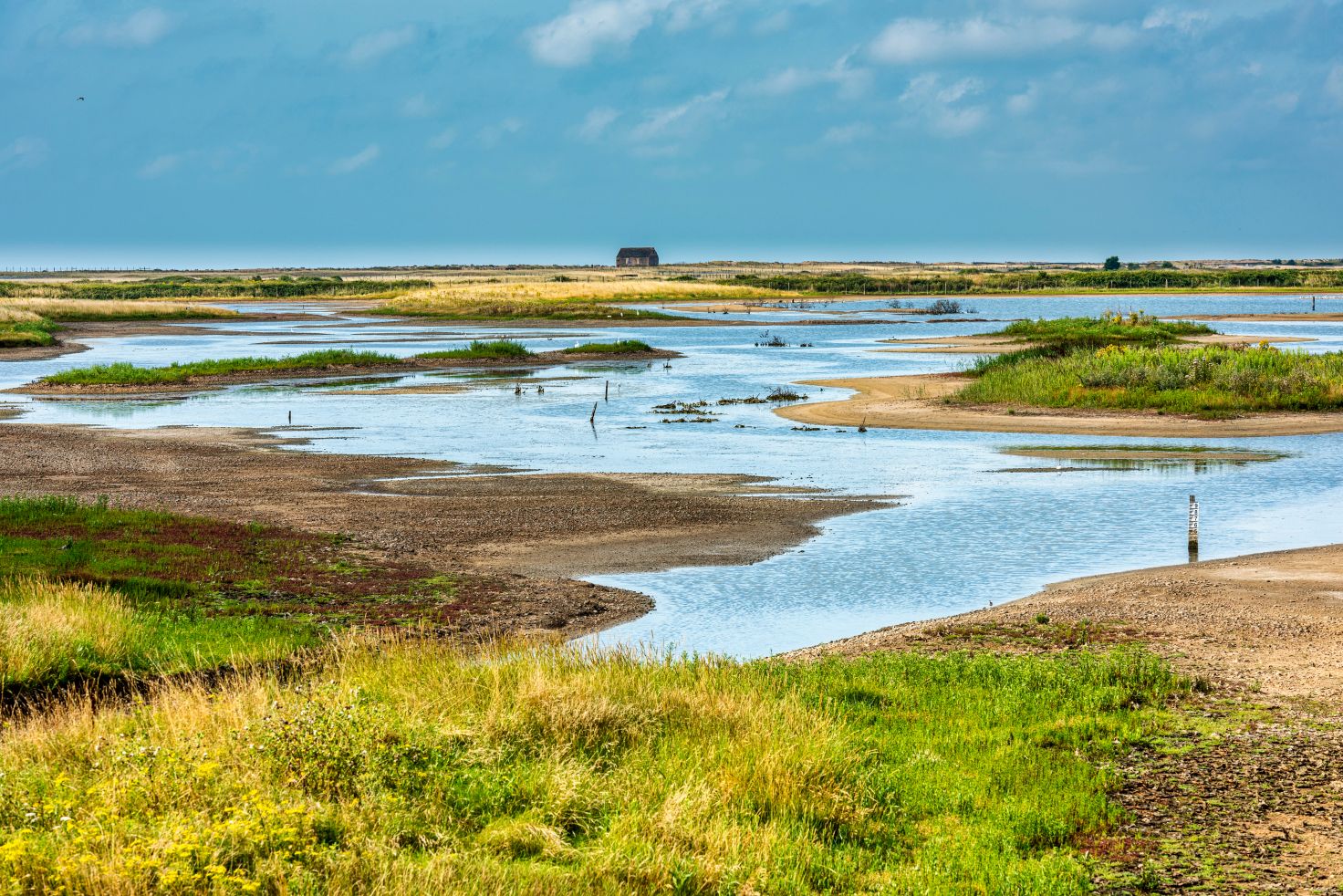 Rye Harbour Nature Reserve in East Sussex, England, UK