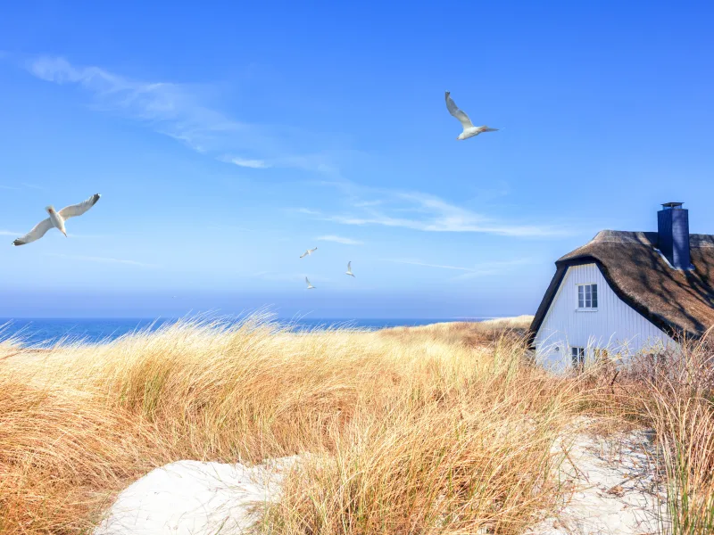 Last Minute Ferienhäuser an der Ostsee