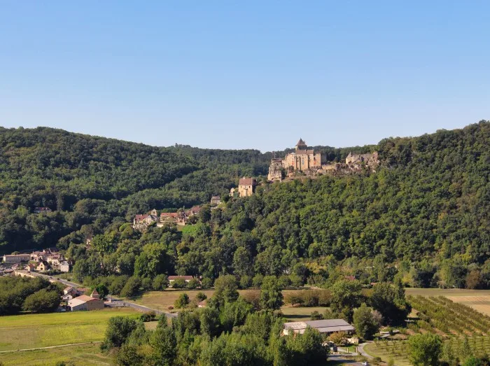 Wein in der Dordogne - Ferienhaus Dordogne