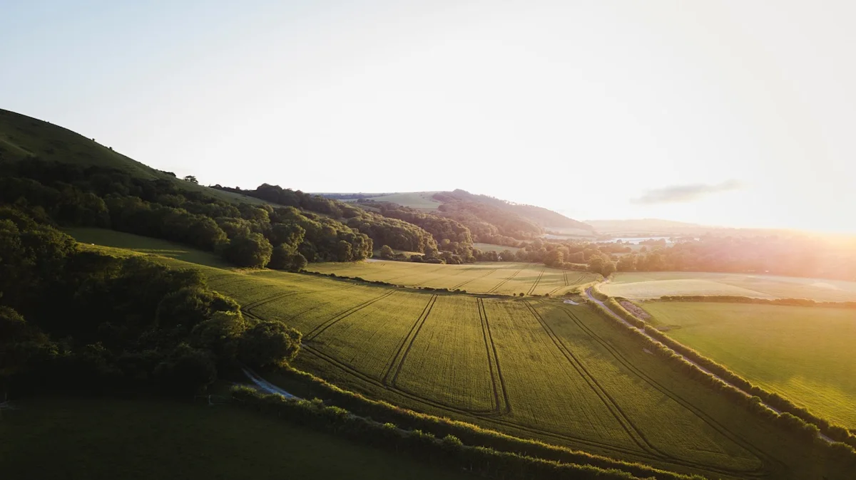 Petersfield holiday cottages