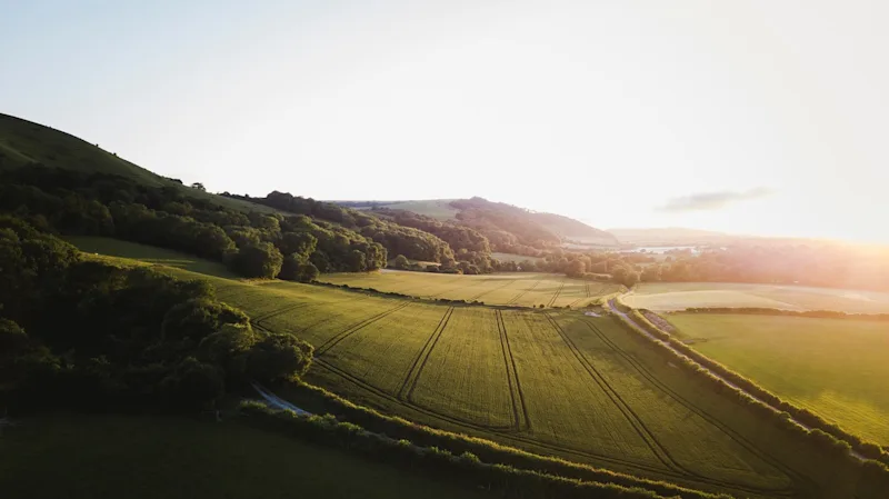 Petersfield countryside