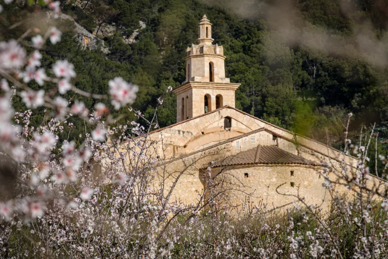 Pfarrkirche La Immaculada Concepció und Mandelblüte, Caimari, Mallorca, Balearen, Spanien