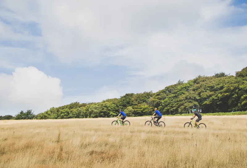 Cyclists riding their bikes through a grassland field in the English countryside on a summer's day