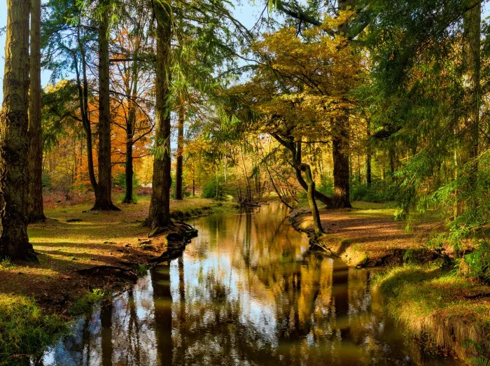 Fishing Breaks in Hampshire