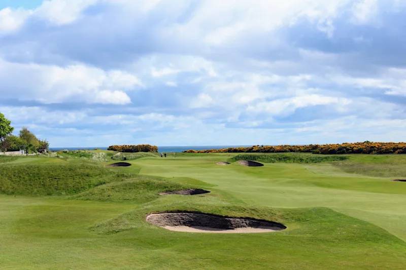 Links golf course at Royal Dornoch in the Scottish Highlands, with coastal views and gorse in bloom