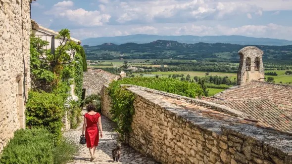 Urlaub mit Hund im Ferienhaus