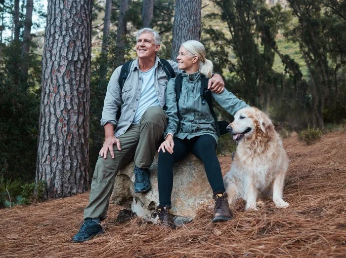 Forest, hiking and old couple with dog sitting on rock in mountains