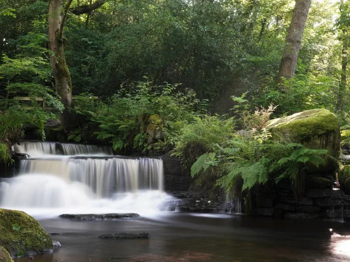 Rivelin Valley