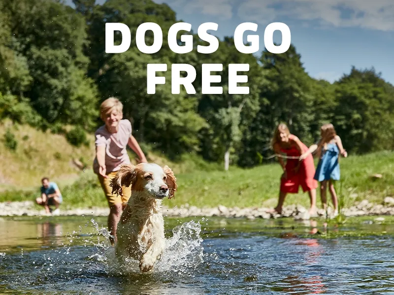 Dogs go free!