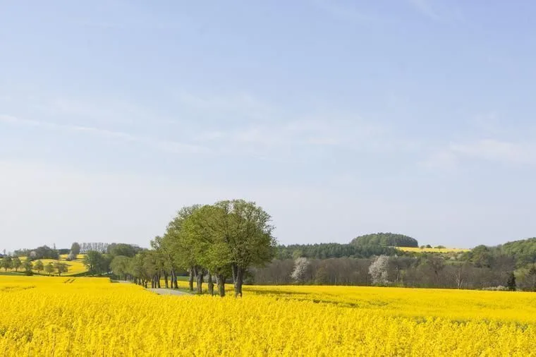 Urlaub Skånes Fagerhult