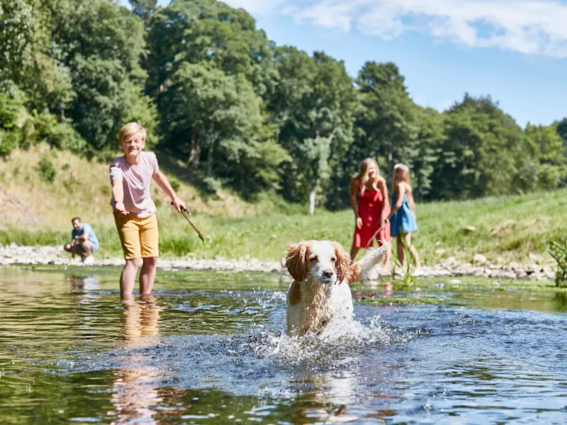 Dog-friendly holiday parks & lodge holidays