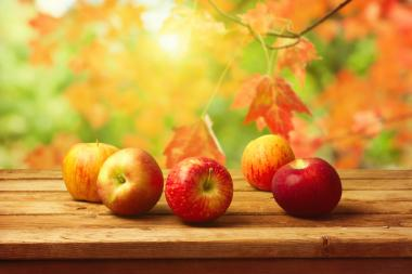 Obst im Ferienhaus im nördlichen Niedersachsen