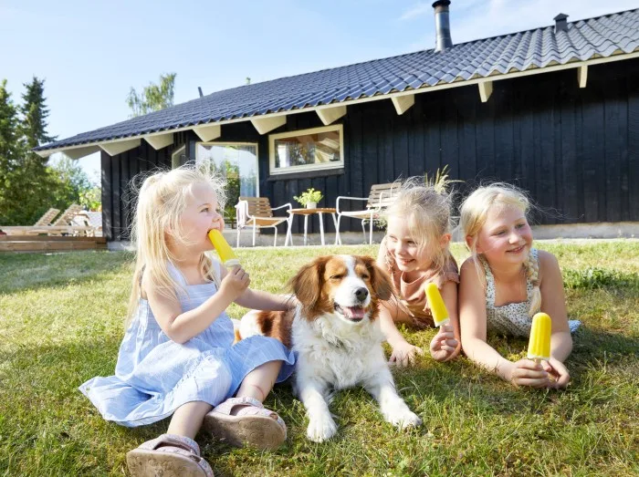 Pets - Book your holiday home with pets allowed