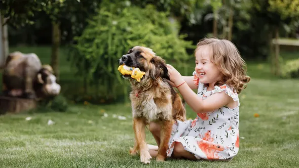 Pets - Book your holiday home with pets allowed