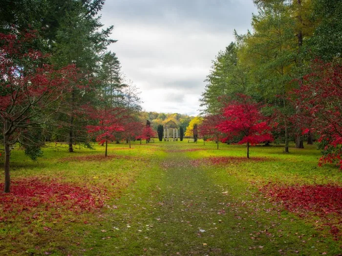 Thorp Perrow Arboretum