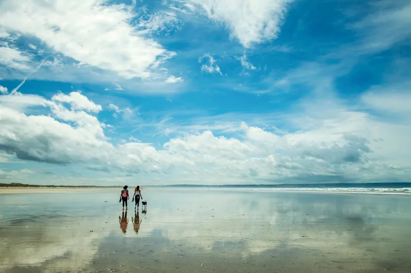 Two people walking their dog on Saunton Sands,  Devon, UK
