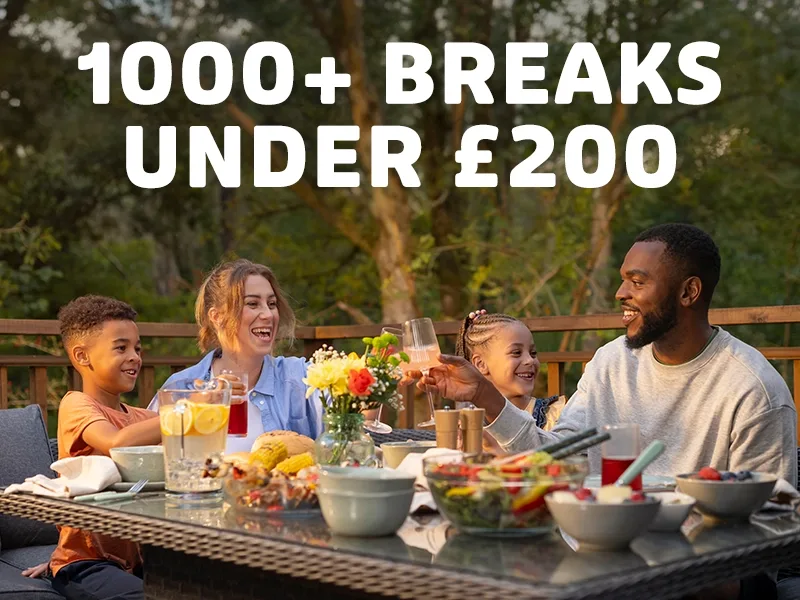 Make the most of November