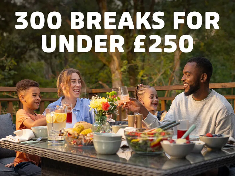 Make the most of 2026