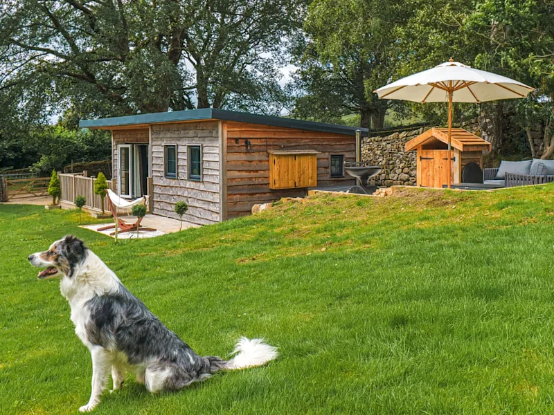 Dog-friendly glamping