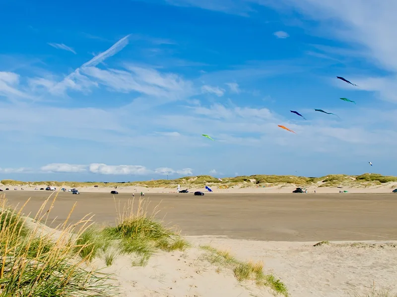 Last Minute Ferienhäuser auf Romo