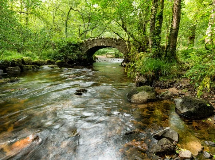 Bovey Tracey Cottages