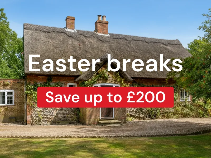 Stay three nights, pay for two