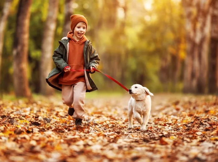 Dog-Friendly Cottages for October Half-Term