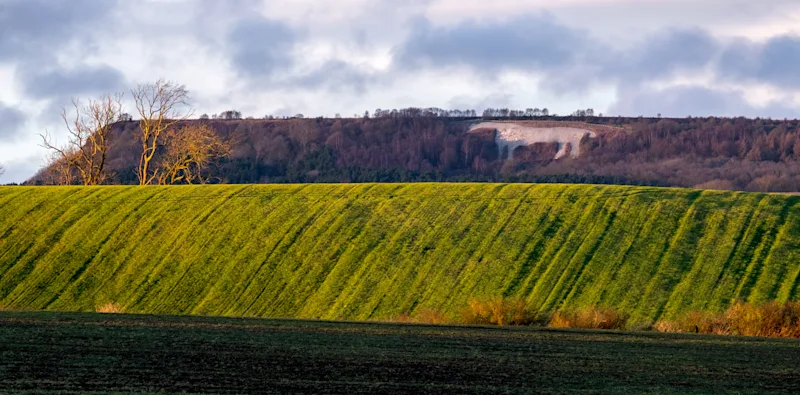 The Kilburn White Horse - a local landmark and superb walking area in Sutton Bank, North Yorkshire, UK
