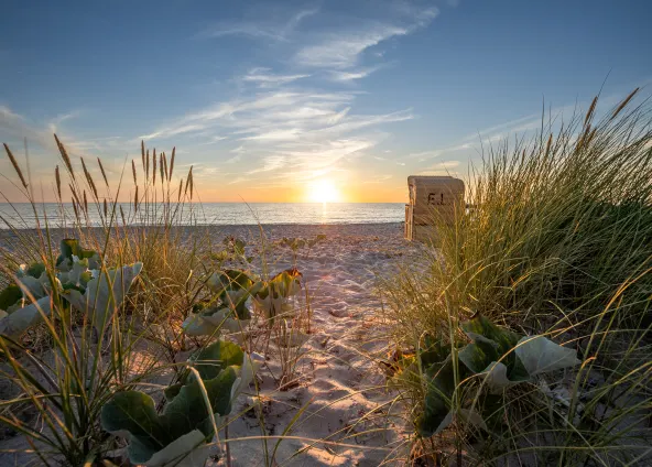 Luxus Ferienhäuser auf Rügen