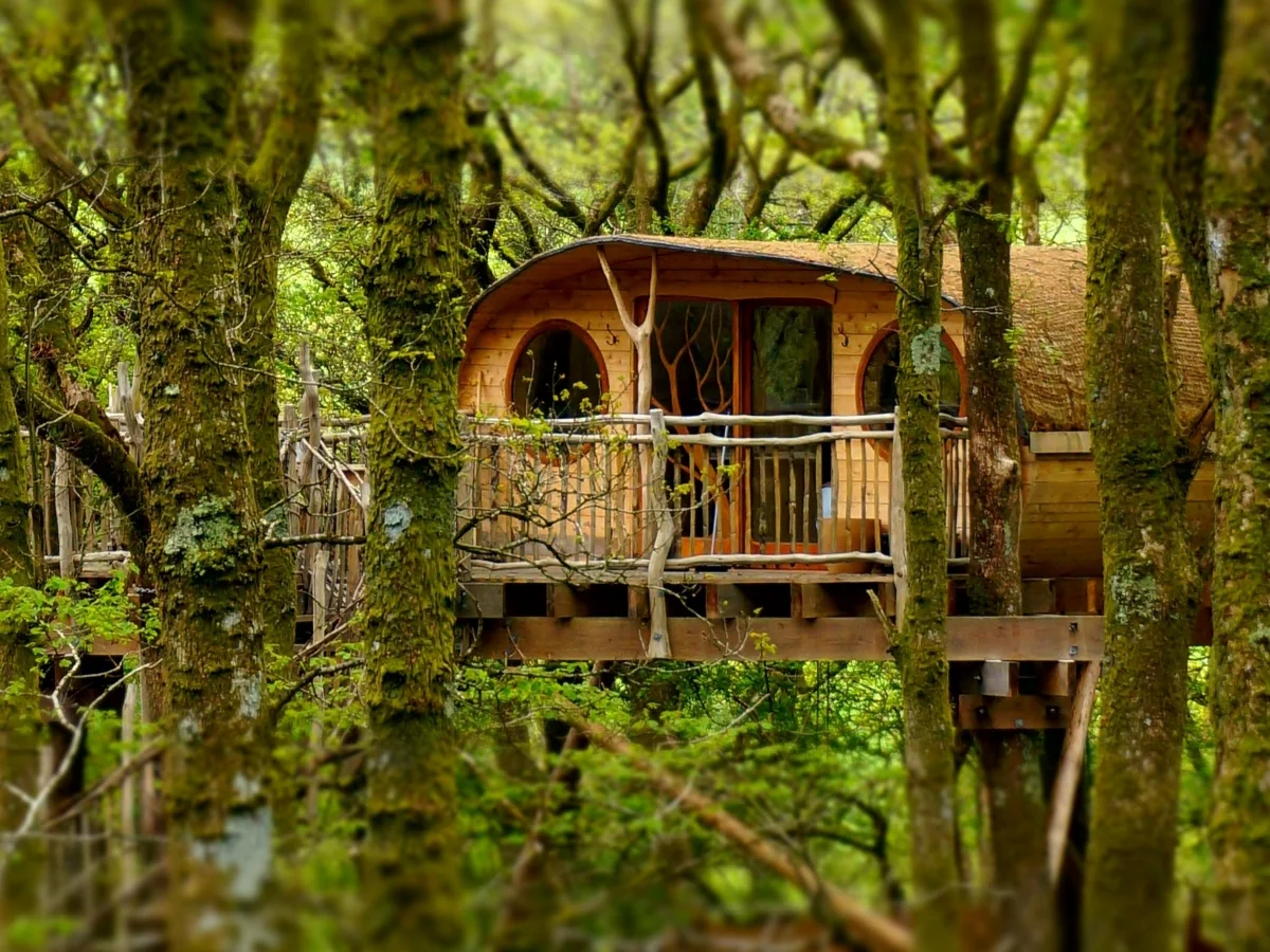 Pen Y Graig Treehouses - Pen y Bryn QU7114, near Machynlleth, Powys, Wales, UK