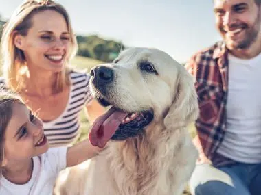 Hund mit Familie