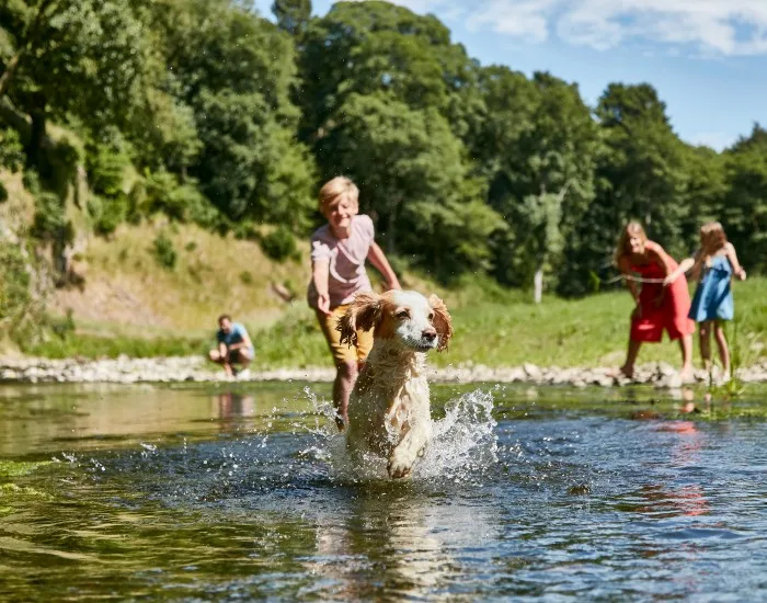 Dog-Friendly Holidays