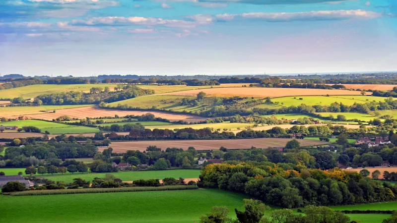 Ringwood countryside