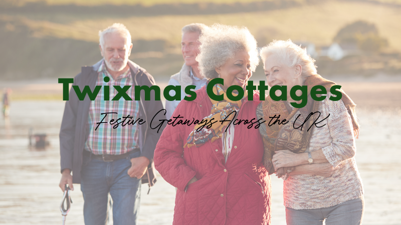 A group of friends gather around for a celebratory dinner, toasting each other.