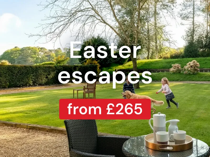 Secure a great saving for the family