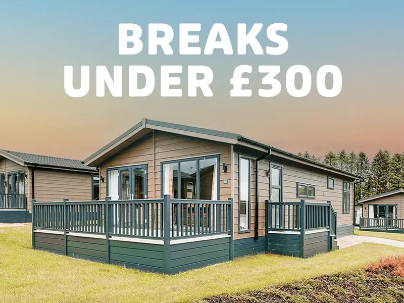 Autumn breaks under £300