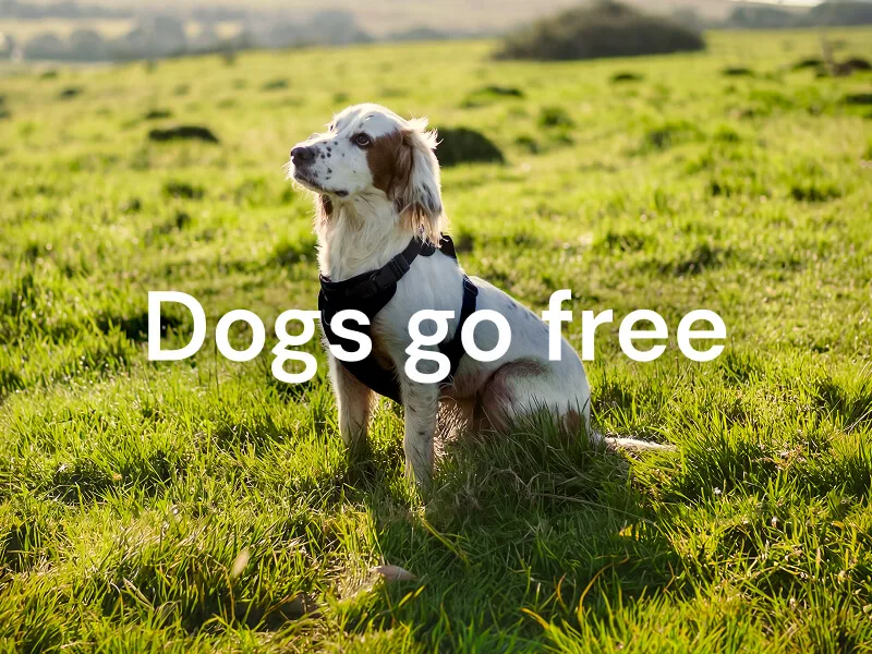 No goodbyes, just getaways