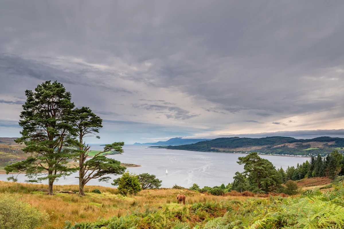 Tighnabruaich cottages